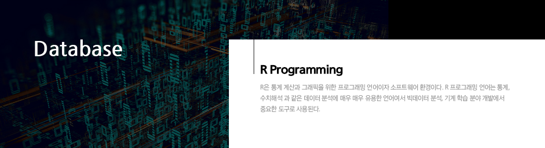 R 프로그래밍